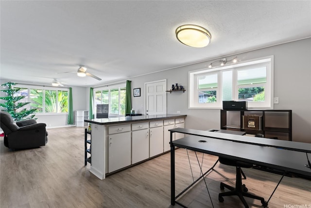 45-533 Pahia Rd, Kaneohe, HI 96744 - office with baseboards, ceiling fan, and wood finished floors