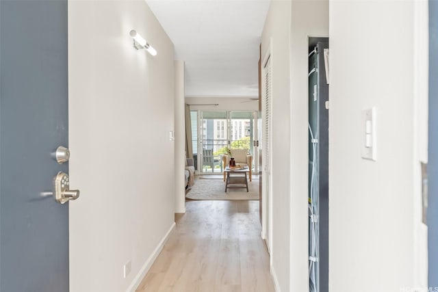 1615 Wilder Ave Unit 604, Honolulu, HI 96822 - hallway with light wood-style flooring and baseboards