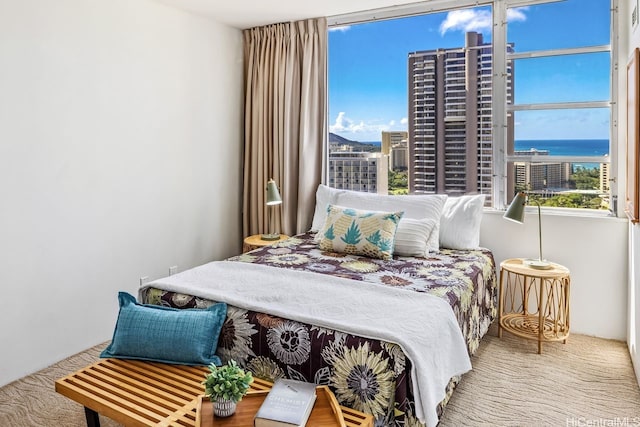 carpeted bedroom featuring a water view