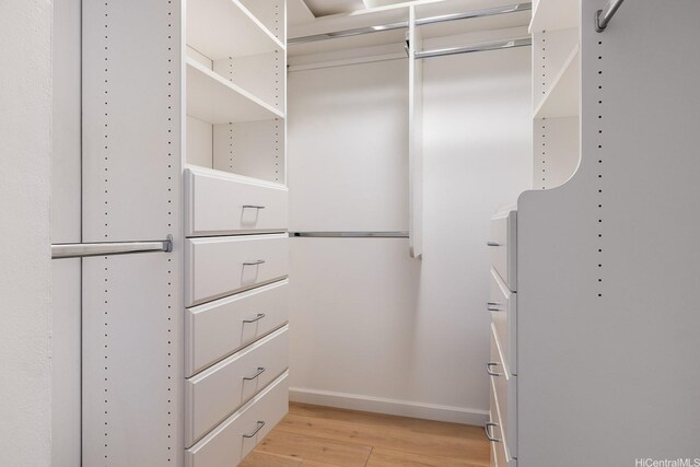 425 S St Unit 2004, Honolulu, HI 96813 - walk in closet featuring light wood-style flooring