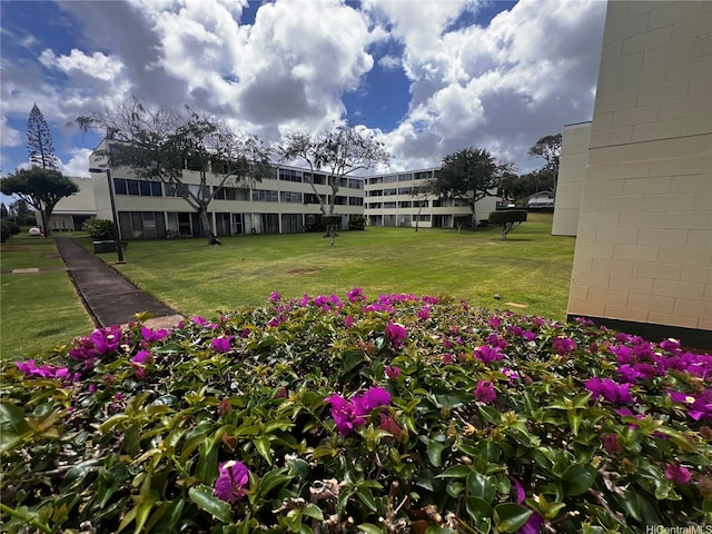 surrounding community with a lawn