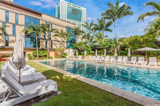 1388 Ala Moana Blvd Unit 1405, Honolulu, HI 96814 - community pool featuring a lawn