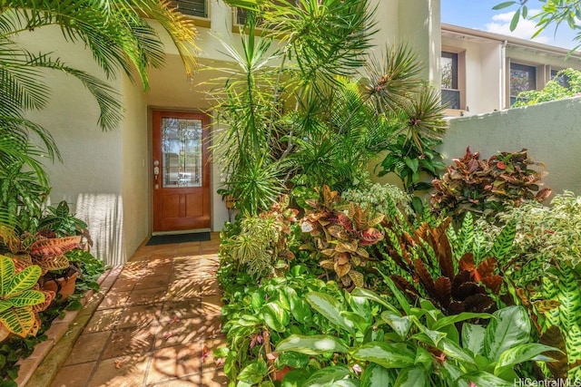 6370 Hawaii Kai Dr Unit 37, Honolulu, HI 96825 - doorway to property with stucco siding and fence