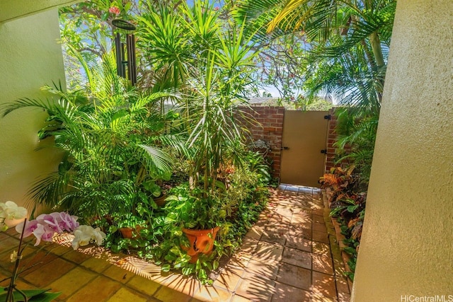 6370 Hawaii Kai Dr Unit 37, Honolulu, HI 96825 - view of yard