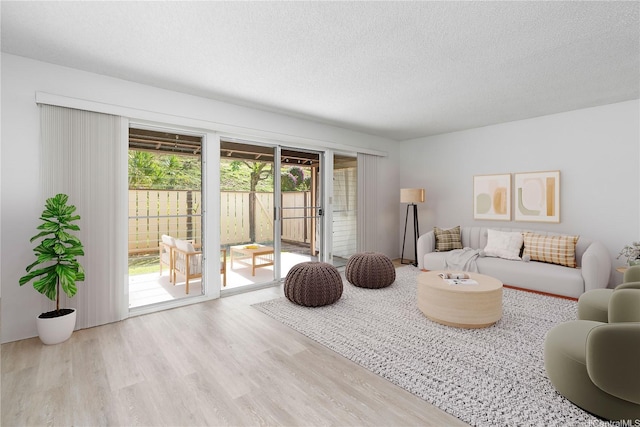 living room featuring a textured ceiling and wood finished floors