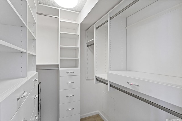 walk in closet with light wood-style flooring