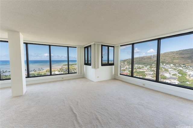 250 Kawaihae St Unit 15B, Honolulu, HI 96825 - spare room featuring a textured ceiling, plenty of natural light, and carpet flooring