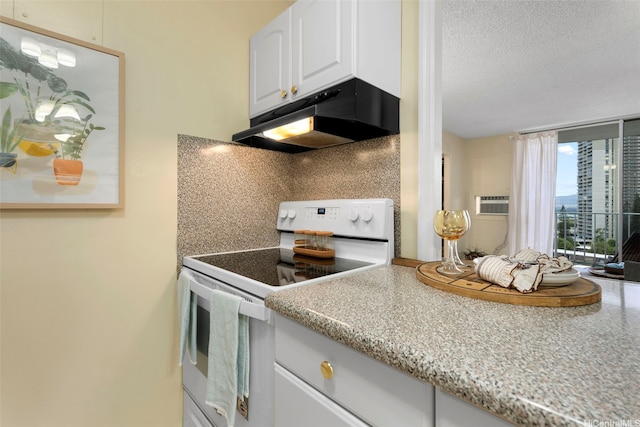 98-1038 Moanalua Rd Unit 1502, Aiea, HI 96701 - kitchen featuring under cabinet range hood, electric stove, backsplash, white cabinetry, and light countertops