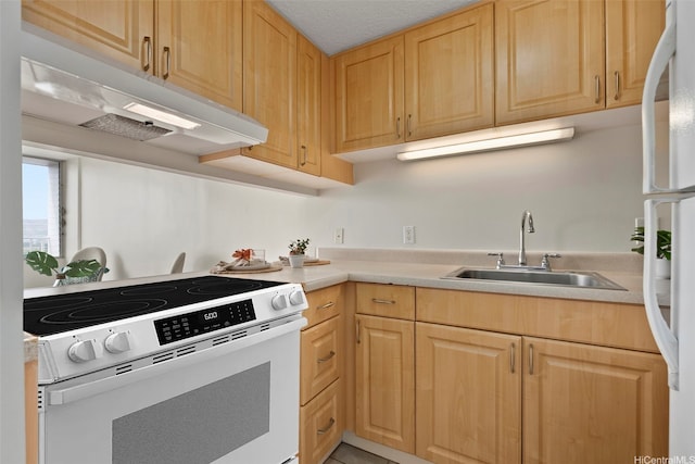 2542 Date St Unit 904, Honolulu, HI 96826 - kitchen with a sink, light countertops, light brown cabinets, under cabinet range hood, and white appliances