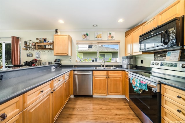 kitchen with a sink, ornamental molding, stainless steel appliances, and a wealth of natural light
