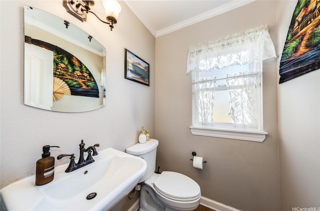 half bath featuring a sink, crown molding, and toilet