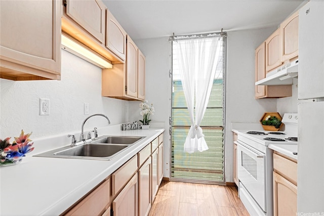 1045 Aheahe Ave Unit 315, Wahiawa, HI 96786 - kitchen with light countertops, a sink, under cabinet range hood, and white range with electric stovetop