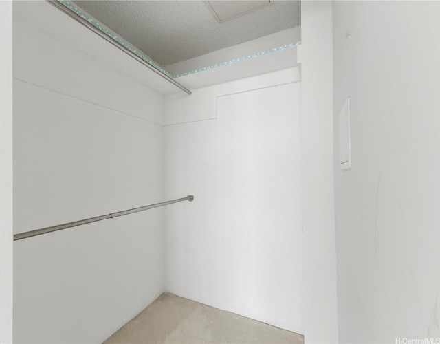 spacious closet with light colored carpet
