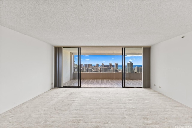 carpeted spare room with a textured ceiling, expansive windows, and a view of city
