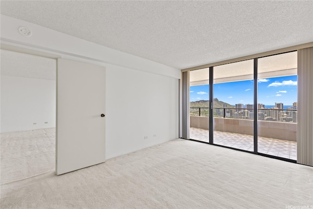 empty room featuring floor to ceiling windows, carpet, and a textured ceiling