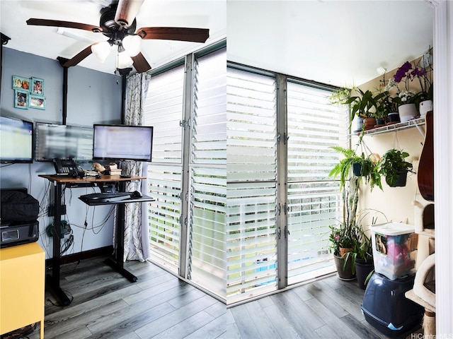 95-273 Waikalani Dr Unit D501, Mililani, HI 96789 - office with ceiling fan, wood finished floors, and expansive windows