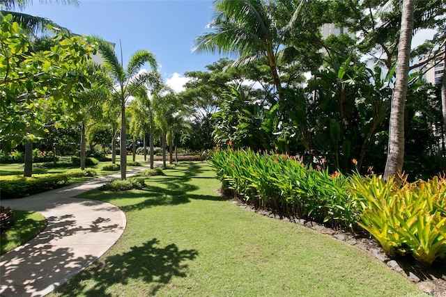 view of property's community featuring a yard