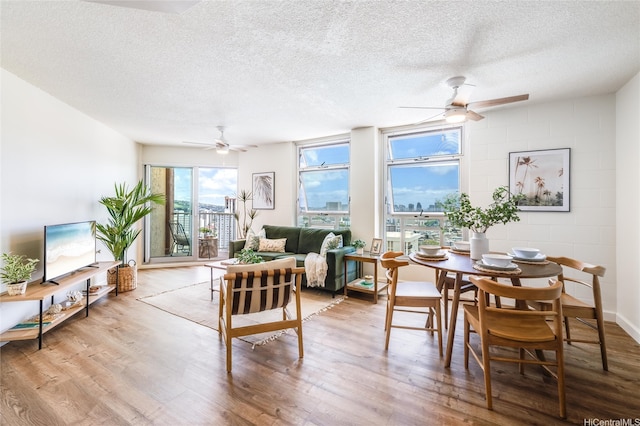 1031 Maunaihi Pl Unit 802, Honolulu, HI 96822 - dining space featuring a ceiling fan, a textured ceiling, wood finished floors, and concrete block wall