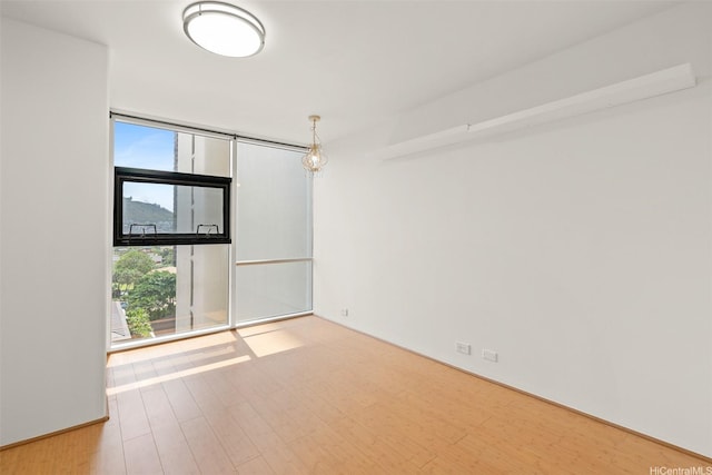 empty room featuring a wall of windows, a wealth of natural light, and wood finished floors