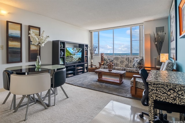 living area featuring carpet floors and expansive windows