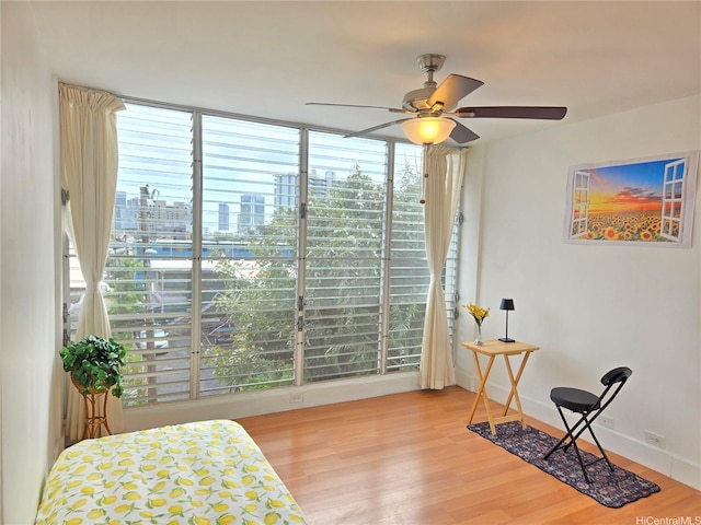 1535 Pensacola St Unit 36, Honolulu, HI 96822 - living area featuring a city view, wood finished floors, a ceiling fan, baseboards, and floor to ceiling windows