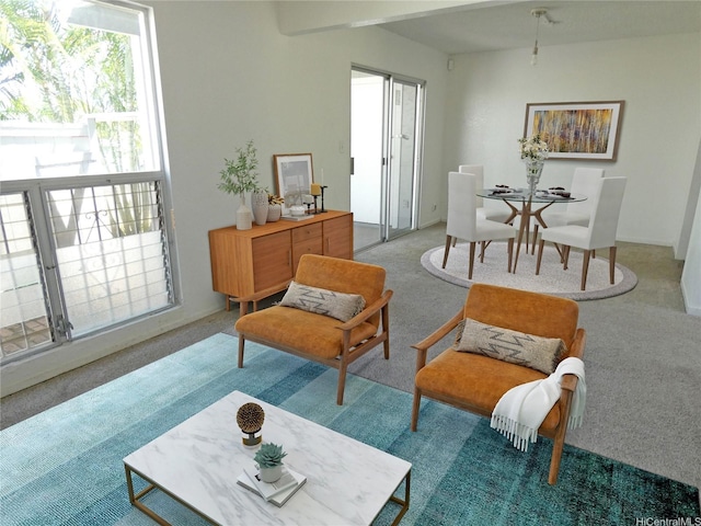 view of carpeted living room