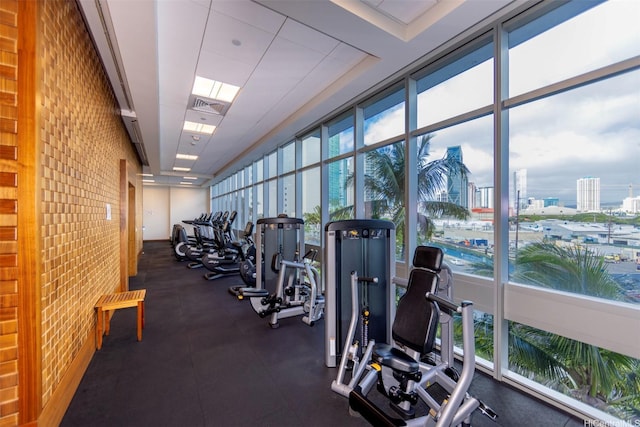 1189 Waimanu St Unit 2308, Honolulu, HI 96814 - workout area featuring visible vents and a view of city