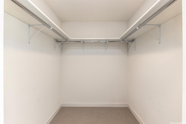 1001 Queen St Unit 1804, Honolulu, HI 96814 - walk in closet featuring light colored carpet