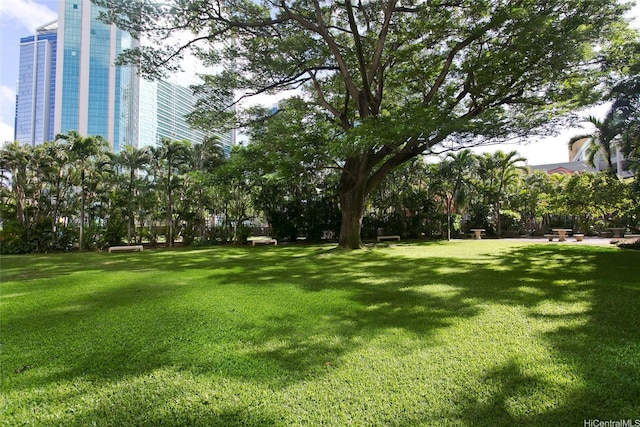 1133 Waimanu St Unit 201, Honolulu, HI 96814 - view of yard