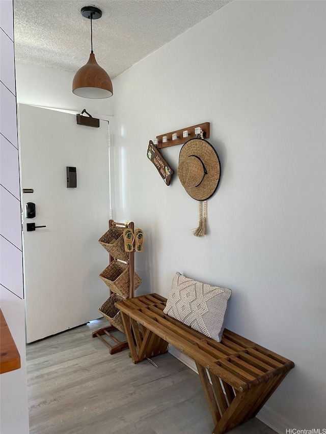 mudroom featuring wood finished floors and a textured ceiling