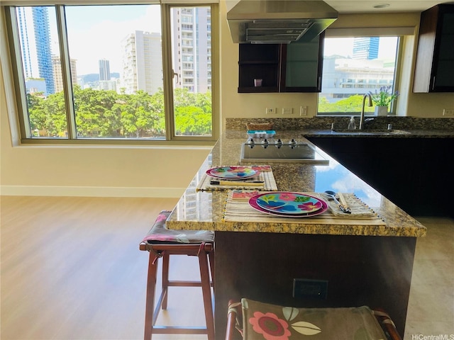 kitchen with a sink, black electric stovetop, ventilation hood, and a wealth of natural light