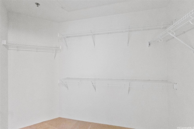 520 Lunalilo Home Rd Unit 8124, Honolulu, HI 96825 - view of walk in closet