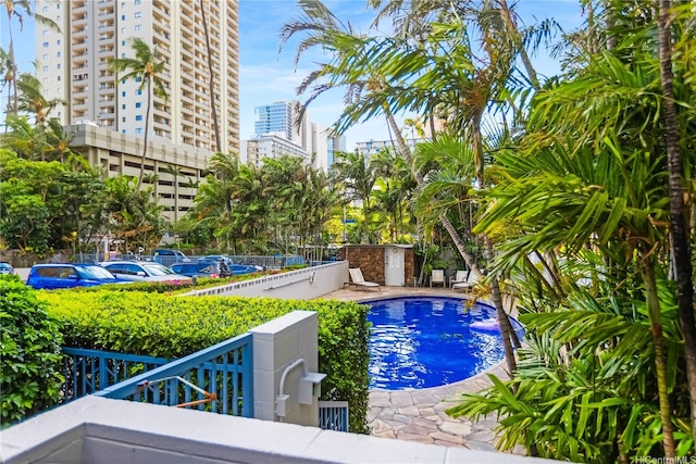 435 Seaside Ave Unit 504, Honolulu, HI 96815 - outdoor pool with a view of city