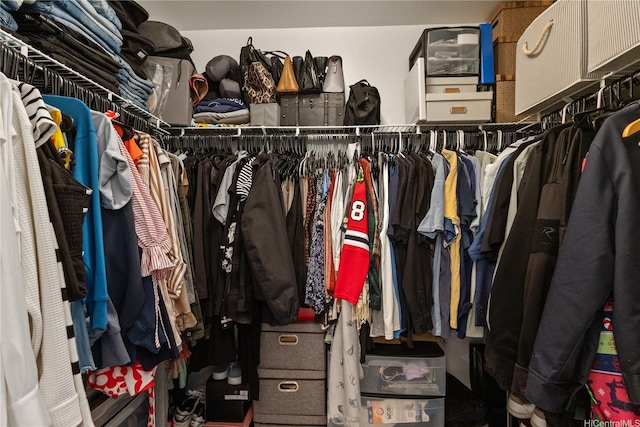 view of spacious closet