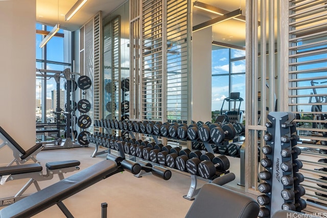 1000 Auahi St Unit 1404, Honolulu, HI 96814 - exercise room featuring a wall of windows