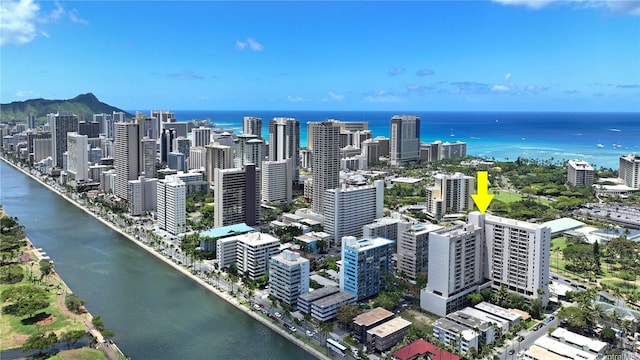 bird's eye view with a water view and a view of city