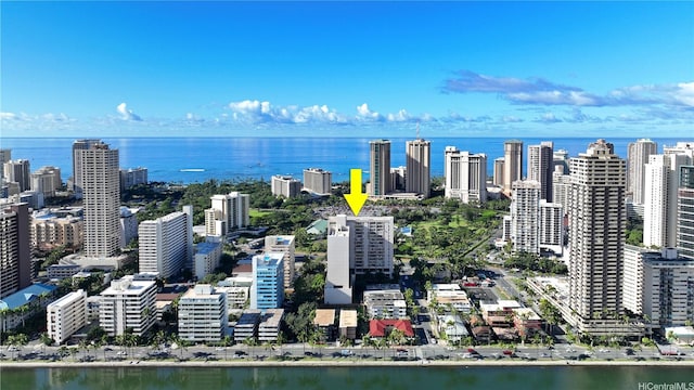 drone / aerial view with a city view and a water view