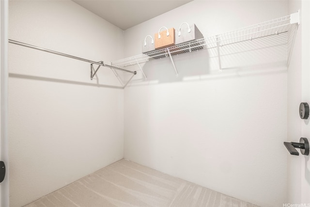 walk in closet with carpet