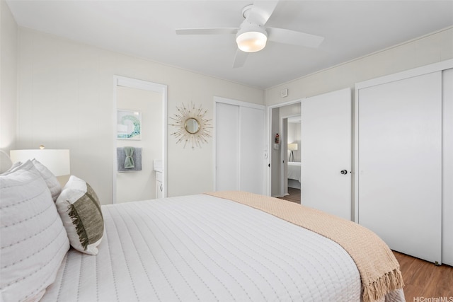 bedroom featuring multiple closets, ceiling fan, and wood finished floors
