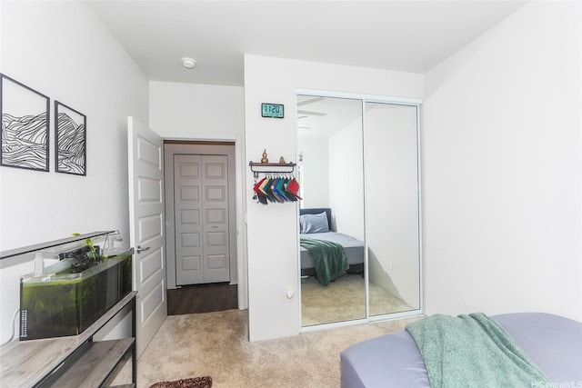 bedroom featuring a closet and carpet flooring