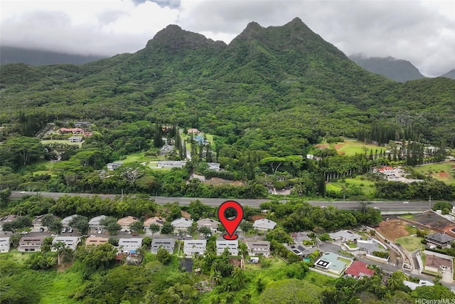 103 Kahako St Unit A, Kailua, HI 96734 - drone / aerial view of a forest and a mountainous background