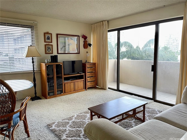 living area featuring carpet flooring, a textured ceiling, and a wealth of natural light