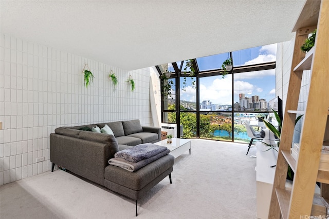 carpeted living area with a city view, expansive windows, and a textured ceiling