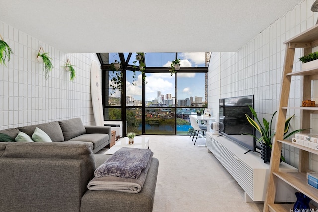 living room with carpet flooring and tile walls