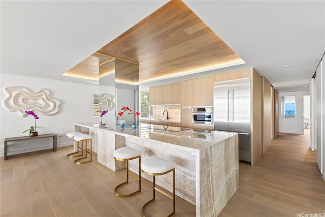 kitchen featuring light brown cabinetry, modern cabinets, stainless steel appliances, and light wood-type flooring
