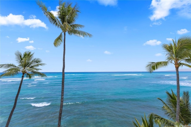 property view of water