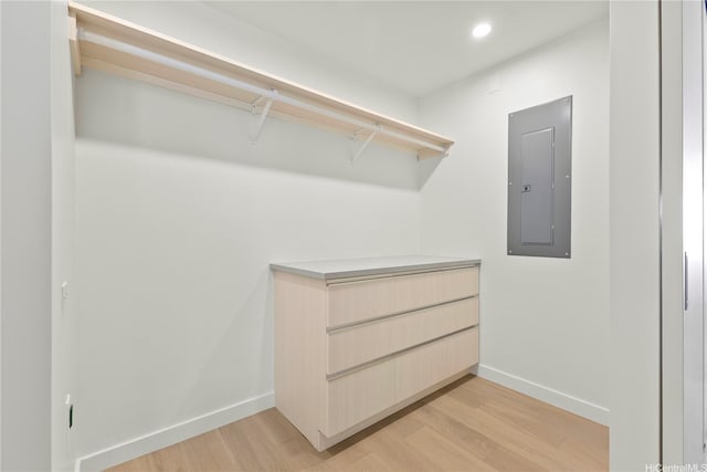 walk in closet featuring light wood-style flooring and electric panel