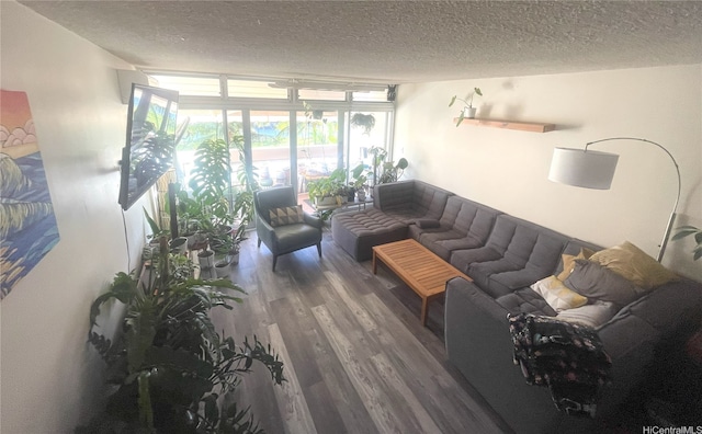 living room featuring a textured ceiling, wood finished floors, and expansive windows