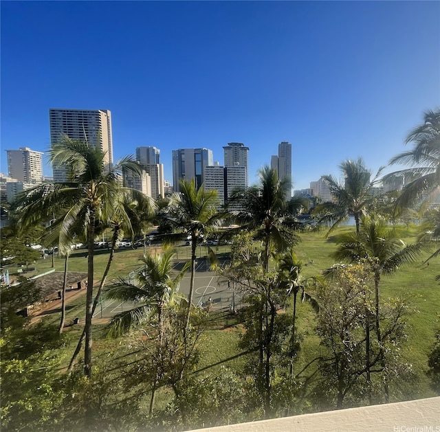 view of property's community featuring a view of city
