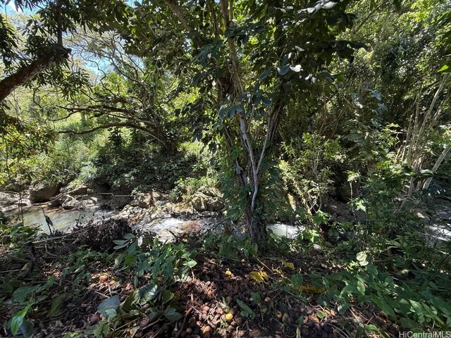 2840C Kalihi St, Honolulu, HI 96819 - photo 14